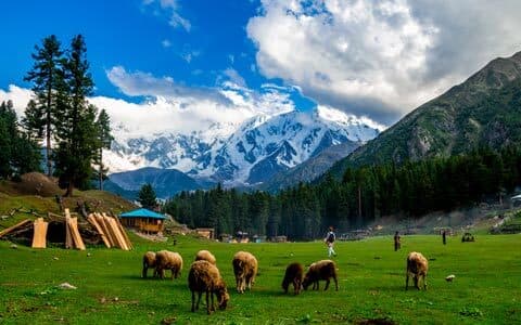 Fairy Meadows and Nanga Parbat